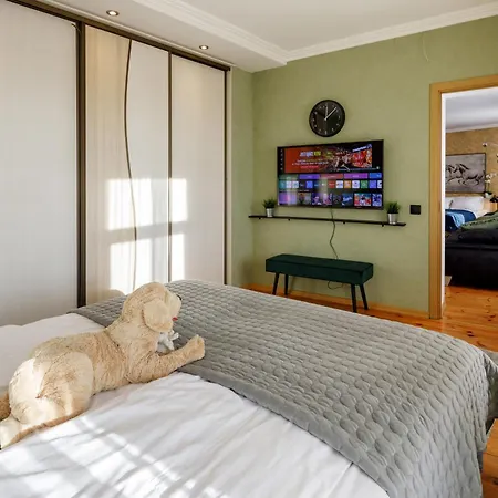 Lägenhet Daugava Rrlux Fire Place Free Parking Riga