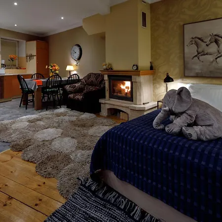 Daugava Rrlux Fire Place Free Parking