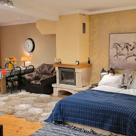Daugava Rrlux Fire Place Free Parking 아파트 리가