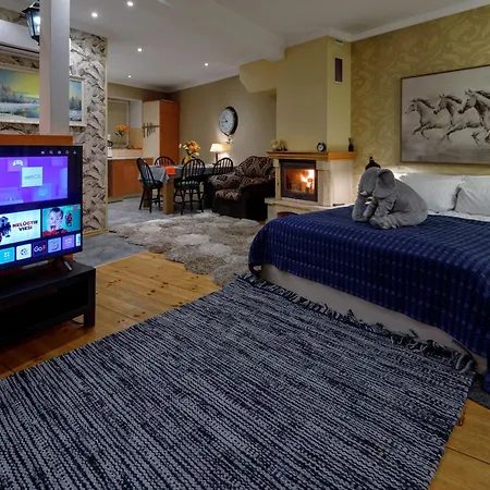 Apartment Daugava Rrlux Fire Place Free Parking