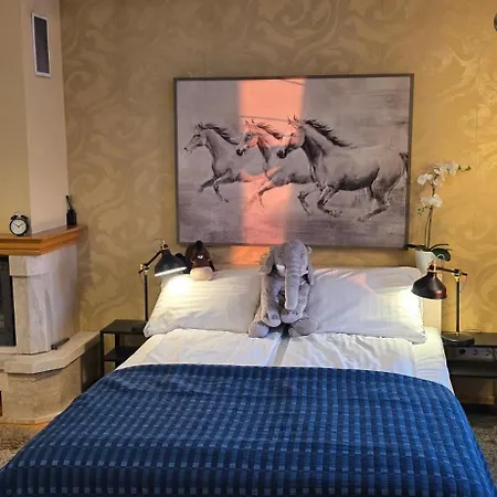 Apartment Daugava Rrlux Fire Place Free Parking Riga
