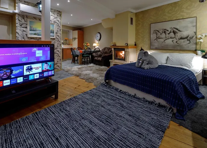 Apartment Daugava Rrlux Fire Place Free Parking