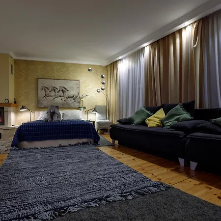 Daugava Rrlux Fire Place Free Parking Διαμέρισμα