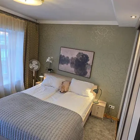 Daugava Rrlux Fire Place Free Parking Διαμέρισμα